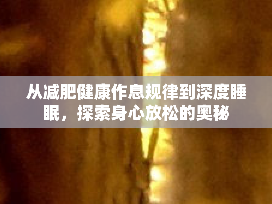 从减肥健康作息规律到深度睡眠，探索身心放松的奥秘