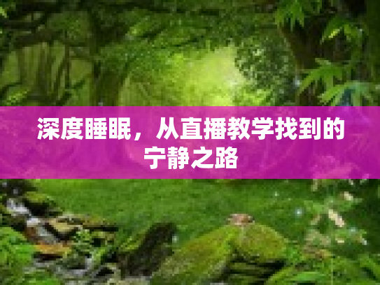 深度睡眠，从直播教学找到的宁静之路