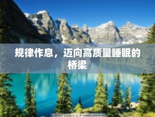 规律作息，迈向高质量睡眠的桥梁