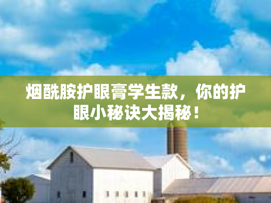 烟酰胺护眼膏学生款,你的护眼小秘诀大揭秘!