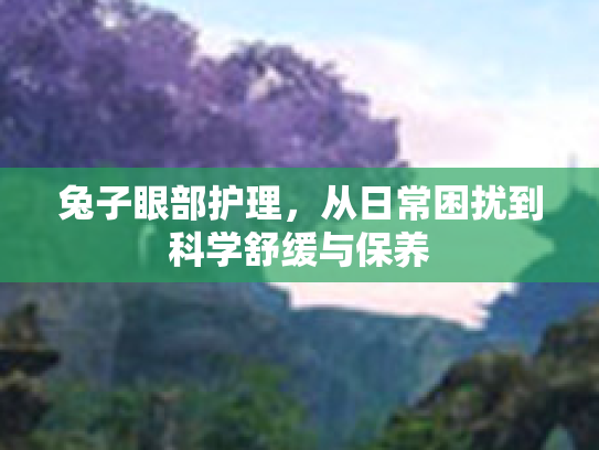 兔子眼部护理,从日常困扰到科学舒缓与保养
