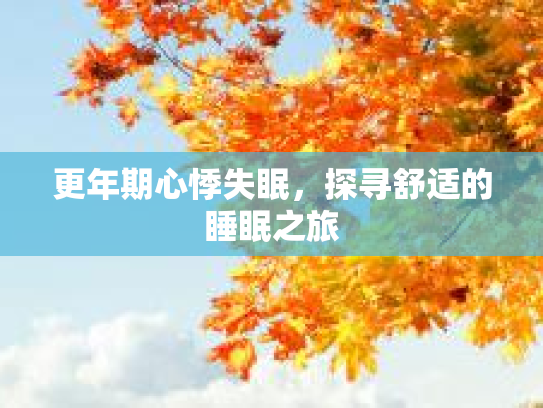 更年期心悸失眠，探寻舒适的睡眠之旅