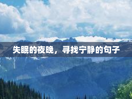 失眠的夜晚,寻找宁静的句子