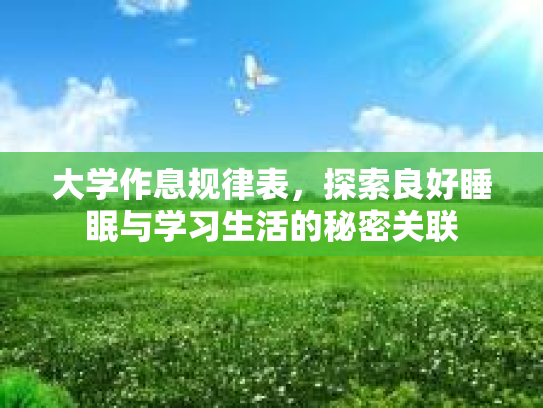 大学作息规律表,探索良好睡眠与学习生活的秘密关联