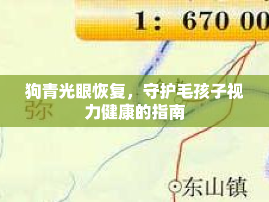 狗青光眼恢复，守护毛孩子视力健康的指南