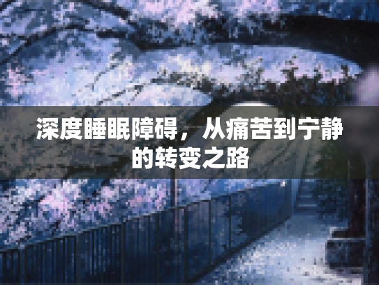 深度睡眠障碍,从痛苦到宁静的转变之路