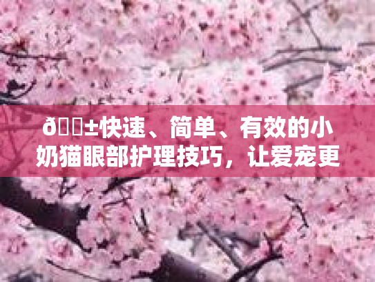 🐱快速、简单、有效的小奶猫眼部护理技巧，让爱宠更健康！