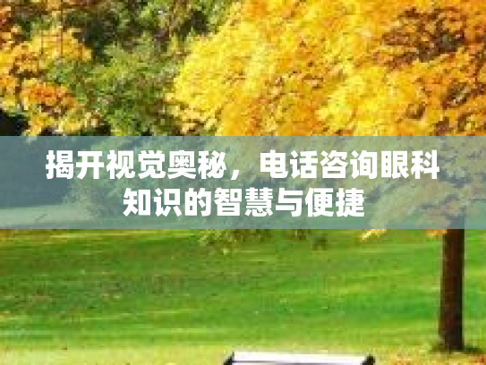 揭开视觉奥秘，电话咨询眼科知识的智慧与便捷