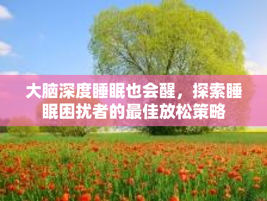 大脑深度睡眠也会醒，探索睡眠困扰者的最佳放松策略第1张-巧哦健康视界