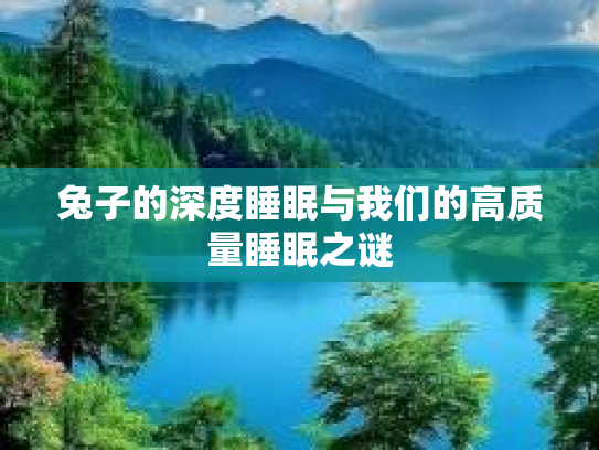 兔子的深度睡眠与我们的高质量睡眠之谜