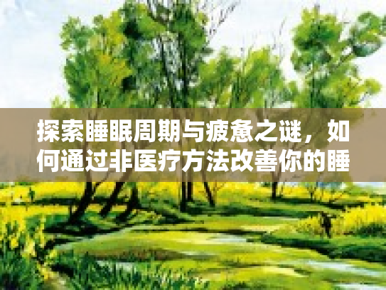 探索睡眠周期与疲惫之谜,如何通过非医疗方法改善你的睡眠体验 探索睡眠周期与疲惫之谜,如何通过非医疗方法改善你的睡眠体验