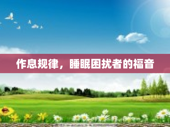 作息规律,睡眠困扰者的福音 作息规律,睡眠困扰者的福音