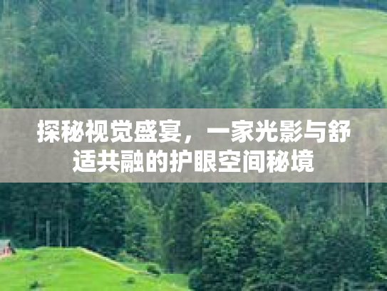 探秘视觉盛宴，一家光影与舒适共融的护眼空间秘境