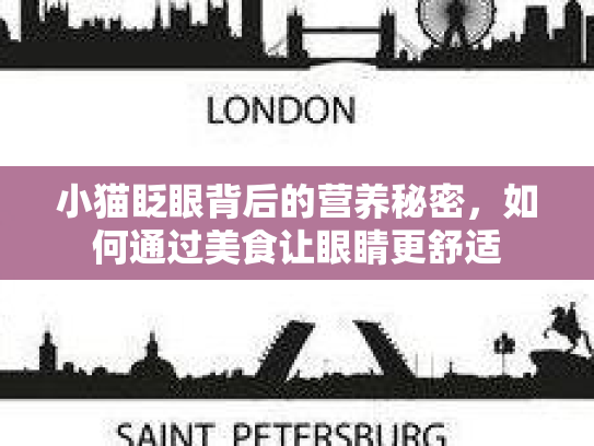 小猫眨眼背后的营养秘密，如何通过美食让眼睛更舒适