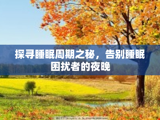 探寻睡眠周期之秘，告别睡眠困扰者的夜晚