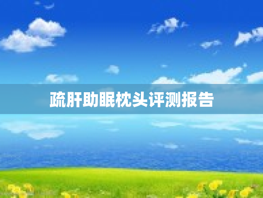 疏肝助眠枕头评测报告