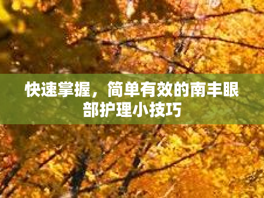 快速掌握,简单有效的南丰眼部护理小技巧 快速掌握,简单有效的南丰眼部护理小技巧