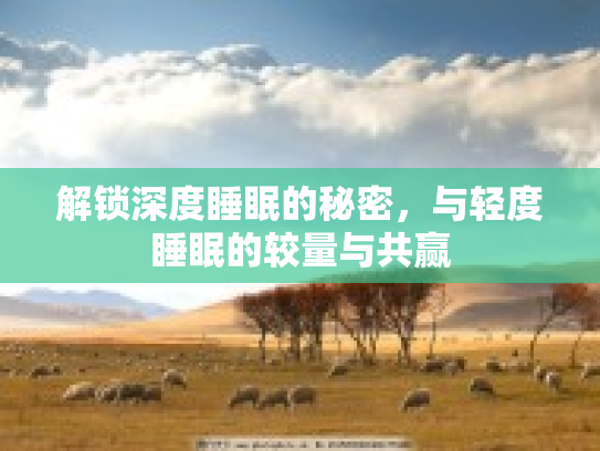 解锁深度睡眠的秘密，与轻度睡眠的较量与共赢