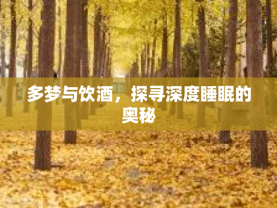 多梦与饮酒，探寻深度睡眠的奥秘第1张-巧哦健康视界