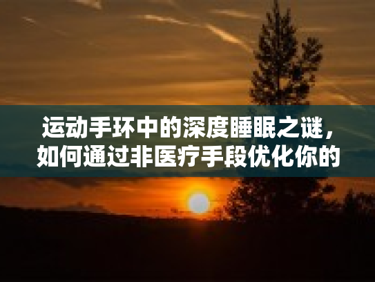 运动手环中的深度睡眠之谜，如何通过非医疗手段优化你的睡眠体验