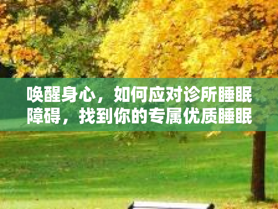 唤醒身心，如何应对诊所睡眠障碍，找到你的专属优质睡眠