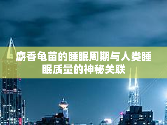 麝香龟苗的睡眠周期与人类睡眠质量的神秘关联
