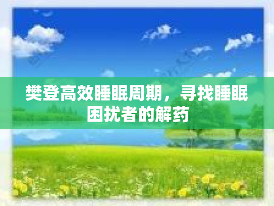樊登高效睡眠周期，寻找睡眠困扰者的解药