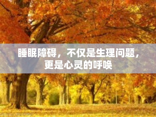 睡眠障碍，不仅是生理问题，更是心灵的呼唤
