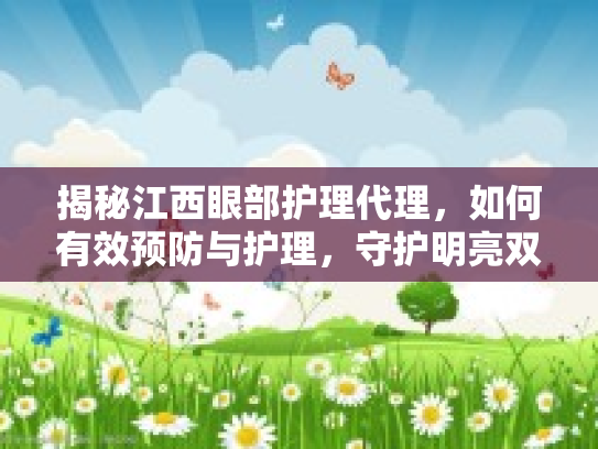 揭秘江西眼部护理代理，如何有效预防与护理，守护明亮双眸