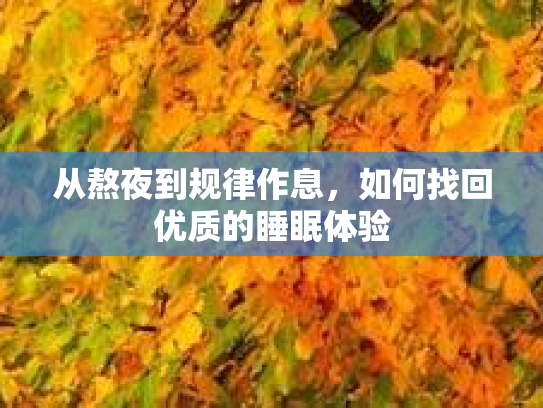 从熬夜到规律作息，如何找回优质的睡眠体验