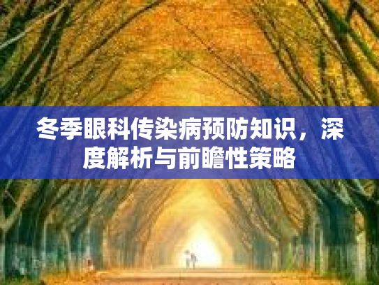 冬季眼科传染病预防知识，深度解析与前瞻性策略