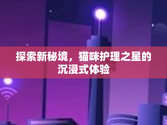 探索新秘境,猫咪护理之星的沉浸式体验