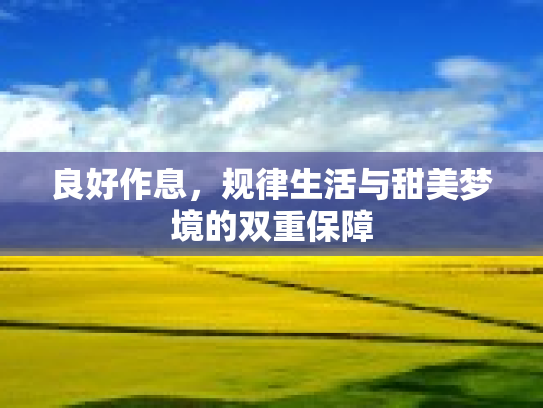 良好作息，规律生活与甜美梦境的双重保障