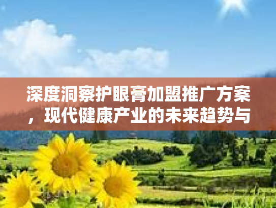 深度洞察护眼膏加盟推广方案，现代健康产业的未来趋势与价值