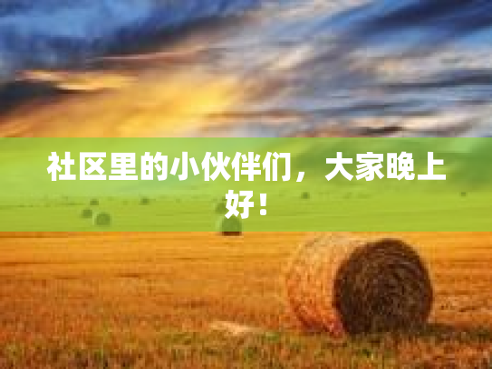 社区里的小伙伴们，大家晚上好！