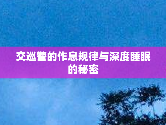 交巡警的作息规律与深度睡眠的秘密