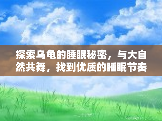 探索乌龟的睡眠秘密，与大自然共舞，找到优质的睡眠节奏