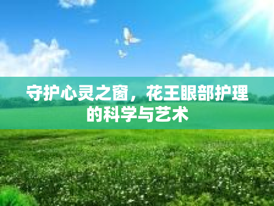 守护心灵之窗,花王眼部护理的科学与艺术