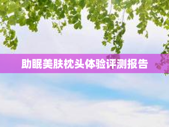 助眠美肤枕头体验评测报告